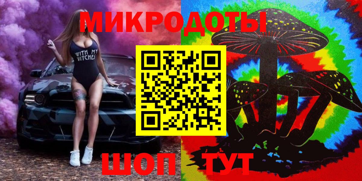 Галлюциногенные грибы Psilocybe Балтийск